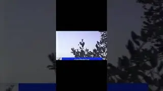 Real uap ufo #alien #trending #viral #shorts #ufo