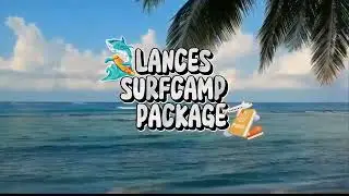 Uncover the Best Budget Surfing Camps! Your Dream Surf Camp in Mentawai