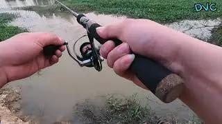 T&eacute;t combo cần 5 kh&uacute;c m&aacute;y c&acirc;u FS5000 , Chuột LK Ho&agrave; m&agrave; kh&oacute; nhai qu&aacute; ae ạ | NhộngTV