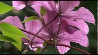 Sony HDR-SR12 Handycam AVCHD with Full HD function - test