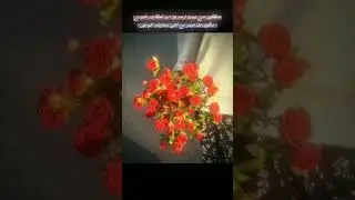 😮&zwj;💨 #poetry #flowers