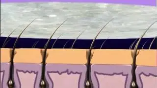 Dermaseta Mini Spa and Hair Removal Kit on Star CJ Alive