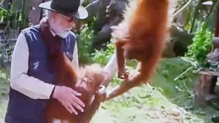 Animal Love of PM Modi ji।modi#animals #love #youtube #yt#viralvideo