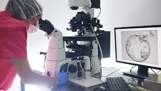 Painless IVF Hormone Delivery: Microneedle Patch Shows Promise in Early Trials