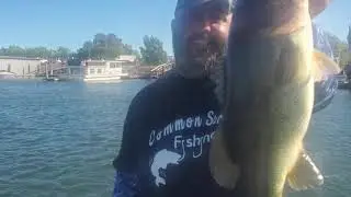 Banana on the boat while fishing the California Delta