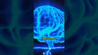 🧐 The Self-reference effect: A Psychological Insight | How to improve your memory 🤯