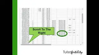 Tulsa Fertility Center eIVF Patient Portal Overview