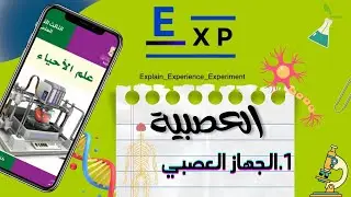 الجهاز العصبي 1 || ترتيب الكائنات الحية و السكتة الدماغية || د.صهيب المقداد