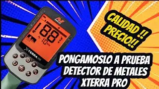 PONGAMOS a PRUEBA al DETECTOR de METALES XTERRA PRO Calidad y Precio 