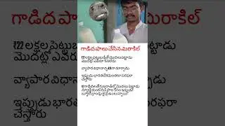 From jobless to ₹3 lakh/month #donkey #milk #trending #success #ytshorts