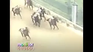 STRIKE THE GOLD con Chris Antley Kentucky Derby 1991...!!!