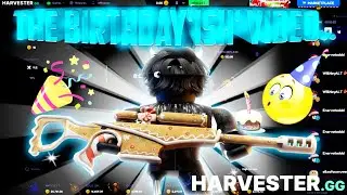 Это видео должно было быть опубликовано в мой день рождения... | HARVESTER.GG GAMBLING