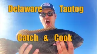 Tautog (Blackfish) Fishing in Lewes Delaware : Catch and Cook         -Small Wonder Series Sn 2 Ep 2