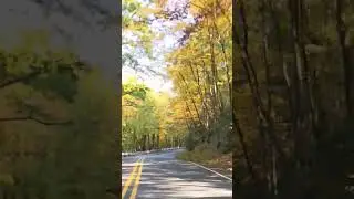 Fall colors tree tunnel drive in Allegheny mountains of Pennsylvania