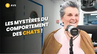 [AVS] Les mystères du comportement des chats ! - Anne-Claire Gagnon