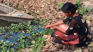 Fishing video 2024 || Amazing girl Riversite hook fishing || Fishing catfish fish by hook ||