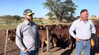Hoje recebi a vista do dr. Marcelo Neves -Intergado e Dr. Fernando Costa -15/7/24