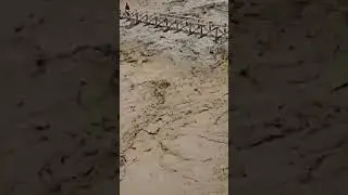 Bridge Destroyed, Chitral Bridge Collapse In Flood #viralvideo #AmazindVideo