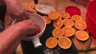 Orangeade Made Easy