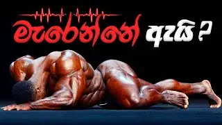 අඩු වයසින් Bodybuilders ලා මැරෙන්නේ ඇයි ? Steriods ගන්න කලින් බලන්න