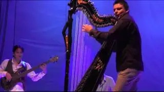 Marcelo Rojas - Festival Internacional Arpas al Sur de Chile 2015
