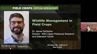 Field Crops Virtual Breakfast: Integrated Wildlife Damage Management on Michigan Farms