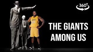 TALLEST PEOPLE IN THE WORLD Height Comparison VR 360 4k Immersive Experience