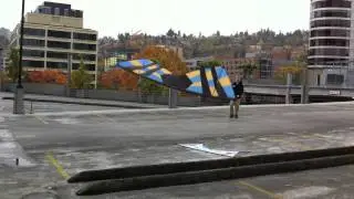 2011 Urban Rev Party (Revolution kite flying)