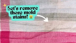 How to remove mold stains from clothes with just one product!  Tutorial