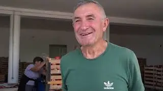 Povrtarsko kraljevstvo porodice Batoćanin iz Lopaša