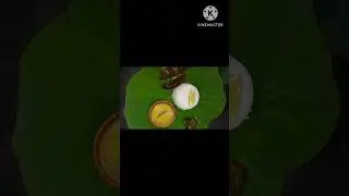 lotus leaf lunch😋👌🥰#youtubeshorts #viral #shortsvideo #shyamali #villagefood #food #lotusleaf