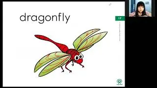 NEMO-NANCY-UNIT 4