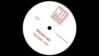 Trilogy Inc. - 313