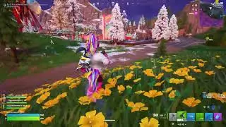 Fortnite  - Food with holes in