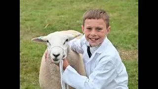 Lleyn Young Handlers - Royal Welsh Show