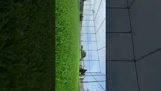 🏏#timelapse #turf #cricket #freehit #turfcricket