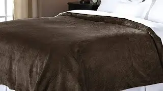 5 Best Heated Blankets in 2023 [Review and Buying Guide] | Which One Should You Buy?
