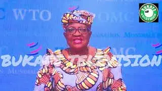 Provided a comprehensive analysis of Africa's economic situation and potential.
