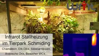 WMT Infrarotheizung f&uuml;r Tiere im Zoo Schmiding - energiesparende Stallheizung f&uuml;r viele Tierarten