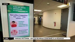 Premier cas de variole du singe &agrave; La R&eacute;union : les voyageurs sont appel&eacute;s &agrave; la prudence