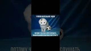cat #meme #voiceoverteam #recommendations #cats #memes