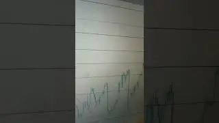 eurusd vip forex signals #forex #signals #viral #usd 🏧