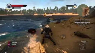 Geralt of Stupidity