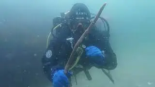 Diving:  Isle of Man April 2025. Fenella Beach and Port Erin outer breakwater.