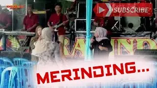 NEW GRAVINDO | MERINDING | LIVE SUNAN KERTAPATI | SHAPA WG