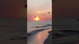 Mai mult decat biruitori