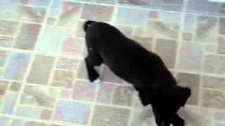 MOV02607