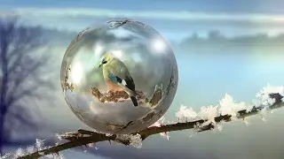 The One Who Makes Snowflakes Dance - Magic Fantasy music | Instrumental music