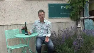 Weintaxi Weisbaden - Weingut Mohr - Vorstellung