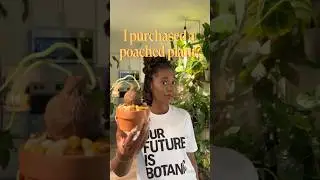 I accidentally purchased a poached plant 😔🪴 #plants #plantmom #plantlover #caudex